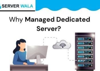 What is a Managed Dedicated Server in Los Angeles? Why Do You Need it?