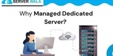 What is a Managed Dedicated Server in Los Angeles? Why Do You Need it?