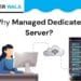 What is a Managed Dedicated Server in Los Angeles? Why Do You Need it?