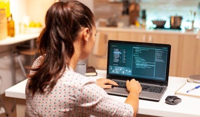 Why Would You Need A Dedicated Developer In 2023?